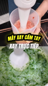 Máy xay sinh tố cầm tay Philips HR2531 ProMix 650W - Bảo hành 2 năm