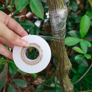 Transparent PE Waterproof Sealing Wrap Film / Multi-Function Fruit Veggie Seedlings Protect Tape / Stretchable Self Adhesive Grafting Tool