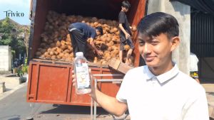 Minyak Kelapa Murni 100%: Manfaat & Penggunaan dalam Kuliner & Kecantikan