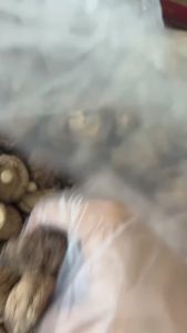NẤM ĐÔNG CÔ KHÔ LOẠI NGON TO DÀY TIỆN LỢI