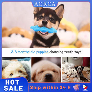 Reusable Molar Cleaning Toy: A Comprehensive Guide