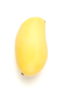 Dried Mangoes Fruit Snack Dried Mango From Vietnam Natural Sweet Snack Soft & Chewy