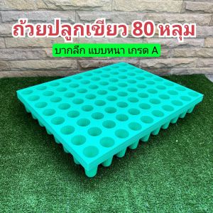 ถาดเพาะเมล็ด ถ้วยปลูกผักไฮโดรโปนิกส์ สีเขียว 80 หลุม บากลึก เกรดA แบบหนา