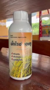 อะมิโนข้าว ( บั๊คไลซ์ F2 ) สูตรอะมิโนข้าวสูตรรับรวง เมล็ดเต้ม เมล็ดเต่ง น้ำหนักดี ส่งเสริมการสร้างแป้งและน้ำตาล ขนาด 1 ลิตร