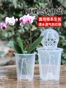 Large Size Plastic Hollow out Breathable Butterfly Orchid Pot Transparent Water Moss Orchid Flower Pot Home Desktop Decoration