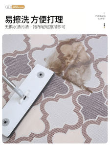 2024 New Washable Water Absorbent Entrance Door Mat Anti-Slip Customizable PVC Door Rug Carpet Modern Simple Style Home Use