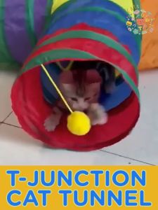 CATLOOTS SG Foldable Rainbow Cat Tunnel with Ball Fun Cat Toy T-junction Tube
