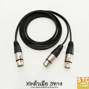 สายสัญญาณY แจ๊ค XLRตัวเมีย 1ตัว ออก แจ๊คXLRตัวเมีย 2ตัว สายy 1ออก2 บัดกรีใหม่ทุกเส้น ใช้สายซีลโมโนคู่ Dynacom JSL-021 4mm. หัวMITSUMI เชื่อมลำโพง เชื่อมเครื่องเสียง SANGTHAIONLINE