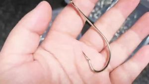 30/50/100 Chiếc Móc Câu Thép Không Gỉ OShaughnessy Móc Câu Câu Cá Biển Mặn Siêu Bền Cán Dài Có Ngạnh Dùng Cho Câu Cá Rê.