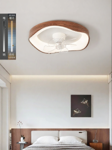 DGY | Modern Minimalist Smart Fan Light