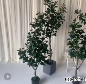 PEPEROMIA TREE Artificial Plant Artificial Flower Faux Greenery Potted Plant Home Decoration Indoor Outdoor Decorative Plants for Living Room Bedroom Office Desk Tabletop Garden Café Event Wedding Artificial Decorative Plant Ornament Accessories