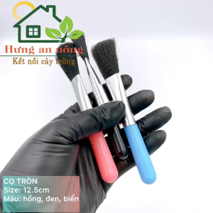 Combo 3 Cọ tròn quét mặt nạ và vệ sinh thay chậu cảnh rất tiện size tròn màu hồng xanh đen