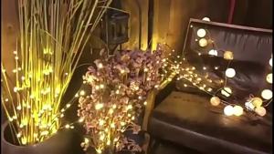 1 PC Đèn nhánh cây bạch dương trắng hoạt động bằng pin 20 đèn LED trang trí nhánh cây liễu cho nhà phòng ngủ trang trí trong nhà và ngoài trời