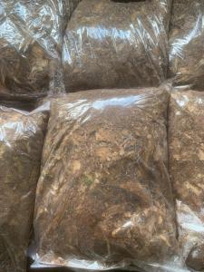 humus bambu murni dan alami