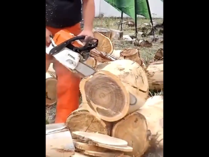 Cutting Power Tool Saw Wood Chainsaw Chains Electric Saw Blade Replacement Electric Chainsaws