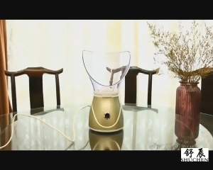 Facial Steamer Nano Ionic Face Steamer for Home Facial Portable Moisturizing Face