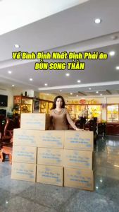 Combo 10 Hộp Bún làm từ đậu xanh Bún Song Thằn Hộp 450Gr - đặc sản Bình Định (hiệu Hưng Đắt - Lý Thị Hương)