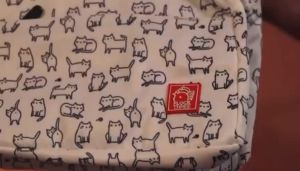 FLOCK THREE Insulated Lunch Bag Leakproof Cute Lunch Tote Bags Large Capacity Reusable Insulated Cooler Lunch Container for Work Office Picnic or Travel