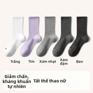 Vớ Thể Thao Mùa Thu Đàn Hồi Cao Độ Dài Trung Bình