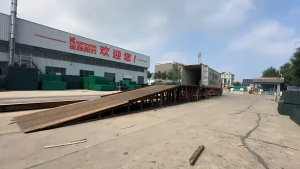 Chicken Net Plastic Plastic Fence Net Outdoor Net Fence mesh Protection Climbing Net 50M in length