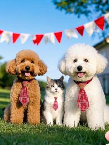 Double Happiness Red Bow Tie Collar Pet Wedding Bridal Grooming Neck Ring New Year Celebration Cat Dog Accessories Neckband