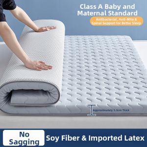 Thickened Latex Soft Pad Matress for Rent Single Person Quilt Dormitory Student Tatami Mat Home Use Sponge Mattress