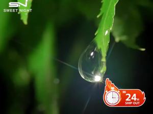 Sweet Night Perfume Fragrance Limited Edition 50ml Wild Mens For Men Long Lasting