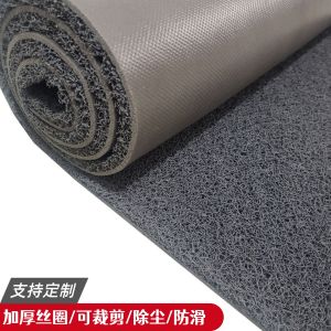Waterproof Non-slip Entrance Carpet