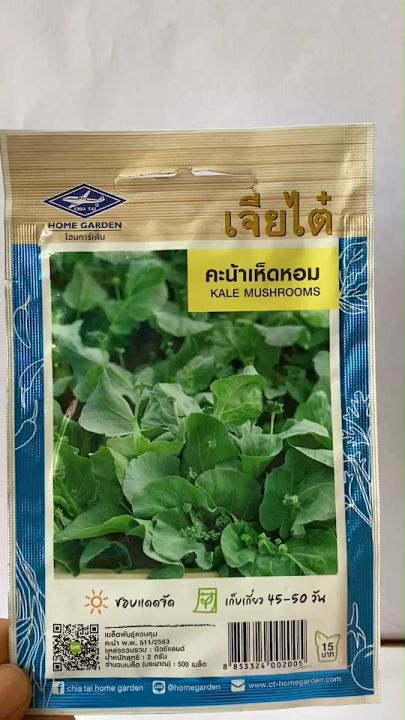 เจียไต๋ คะน้าเห็ดหอม 500 เมล็ด รสชาติอร่อย หวาน กรอบ