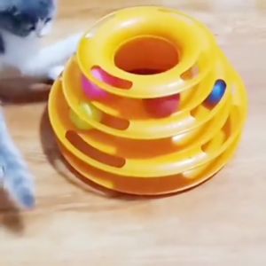WaggyWaggy Cat Tower Ball Spinning Balls Toy Mainan Bola Kucing Bertingkat 3 Layers Teaser 宠物玩具猫玩具 T0008