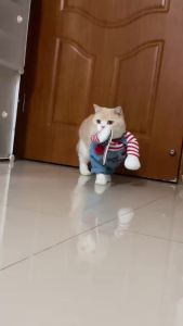 Funny Cat Clothes Halloween Cosplay Costumes For Small Medium Dog Cats Creative Pet Party Kitten Jumpsuits Soft Warm Cat Coat