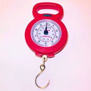 【现货正品】【细草微风岸】快递秤称重器迷你手提式电子秤称克重高精度吊秤手拎精密sswd[Spot genuine] [thin grass breeze shore] Express scale weighing machine Mini portable electronic scale weighing weight high precision lifting scale hand precision sswd