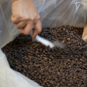 Coffee Sage Premium - Mystic Medium Roast - 250G