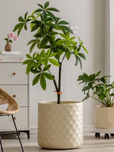 Large Diameter Magnesium Mud Flower Pot Indoor Living Room Turtle Back Bamboo Green Plant Vase Ceramic Imitation Home Decor