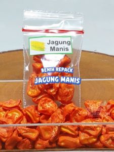 Benih Jagung Manis Unggulan berkualitas biji bibit hydroponik hidroponik sayuran tanaman sayur