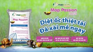 (Mappacific Singapore) Map Passion 10GR (1KG) - DIỆT ỐC BƯƠU VÀNG - Hàng Hiệu Chính Hãng