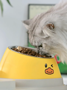 ชามอาหารสัตว์เลี้ยง ชามสัตว์เลี้ยง ชามสุนัข ชามแมว ชามอาหารสัตว์เลี้ยง 16 องศา