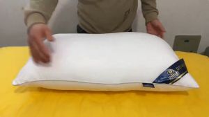 【BUY 1 TAKE 1】Soft Magic Furnishing Pillow - White Unan 18x28 Inches for Home Decoration