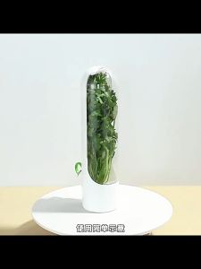 กล่องถนอมสมุนไพรข้ามพรมแดนใหม่ ที่เก็บผัก ถ้วยถนอมสมุนไพร อุปกรณ์ถนอมหน่อไม้ของ