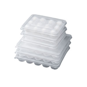 Disposable Dumpling Packaging Box Frozen Storage Container Food Grade Plastic Long Rectangle Shape for Soup Buns And Meatballs
