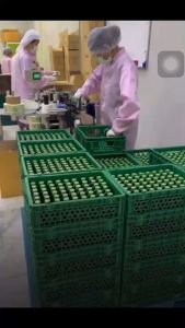 Miw(มิว) [20แถม2] [ล็อตใหม่2025] [ของแท้💯%] หัวเชื้อน้ำหวานกลิ่นน้ำตาลสด หอมหวาน ผสมน้อย