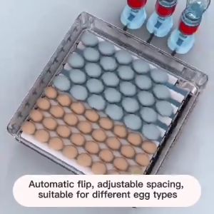 12/24/38/48/64/130 Egg Fully Automatic Incubator 220V/12V Egg Incubator Intelligent Digital Hatcher Brooder with Temperature Control and Auto Turning for Hatching Chicken Duck Goose Quail Birds Incubators for Farm