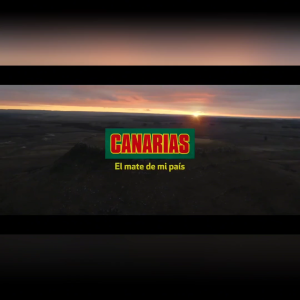 CANARIAS ชาเยอร์บามาเต (Yerba Mate) มีอย. ชามาเตแท้จากอุรุกวัย 250g/500g