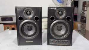 Cặp Loa Bookseolf Liền Công suất Roland MA - 15D (decal phồng co xấu) Loa kiểm âm giải mã 24bis/129khz (điện 110v)