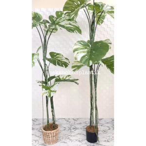 Pohon Artificial Monstera Variegata T170 & T190: Desain Interior Caffe Aesthetic