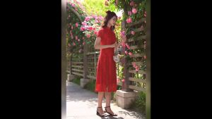 Ready Stock 新年旗袍 CNY 2025 Noble Maroon Lace Ao dai Midi Cheongsam Dress 3047-29 高貴復古棗紅蕾絲奧黛中長旗袍裙