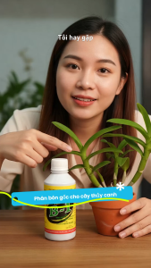 Phân Bón Lá HVP TN Vitamin B-1 (Chai 250ml) - Siêu Kích Rễ Giải Độc Cây Bật Chồi Thần Tốc Phục Hồi Cây Suy Yếu.