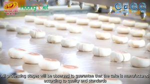 Bánh pía kim sa Tân Huê Viên trứng muối tan chảy [TÚI 12 BÁNH] - 17 vị bánh pía Sóc Trăng mini bánh kẹo ăn vặt Sài Gòn