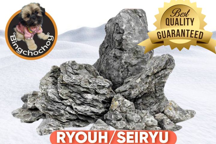 Ryouh Stone/White Seiryu Stone (per kilo) Lazada PH