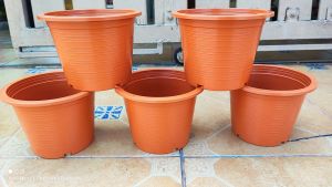 กระถาง 8 นิ้ว สีอิฐ แพ็ค 5 ใบ สินค้าพร้อมจัดส่ง